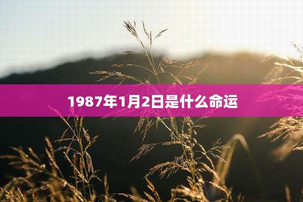 1987年1月2日是什么命运