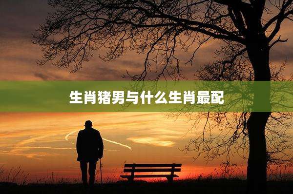 生肖猪男与什么生肖最配
