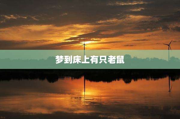 梦到床上有只老鼠