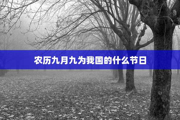 农历九月九为我国的什么节日