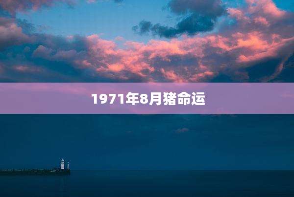 1971年8月猪命运