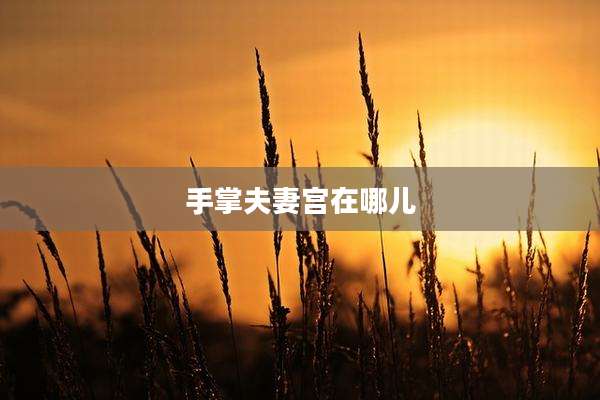 手掌夫妻宫在哪儿