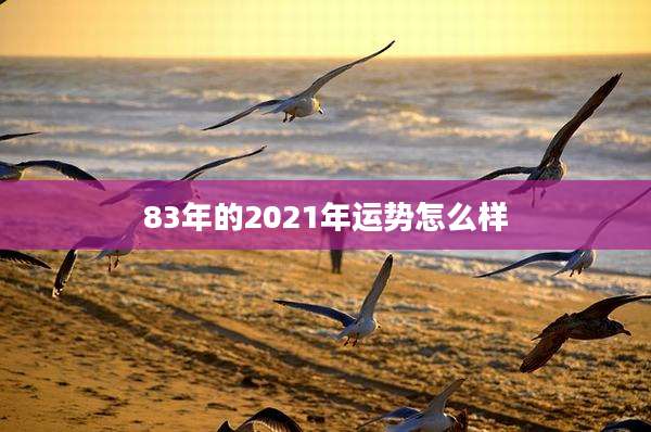 83年的2021年运势怎么样