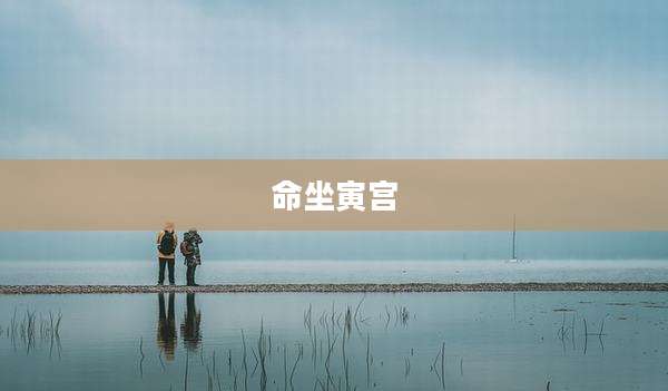 命坐寅宫