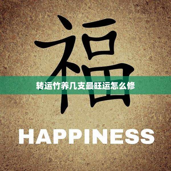 转运竹养几支最旺运怎么修