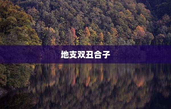 地支双丑合子