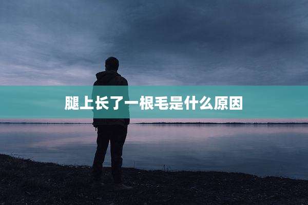 腿上长了一根毛是什么原因
