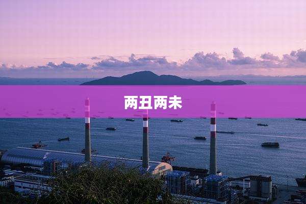两丑两未
