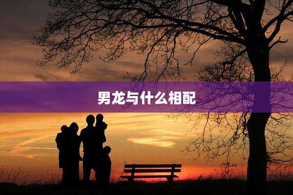 男龙与什么相配