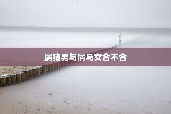 属猪男与属马女合不合