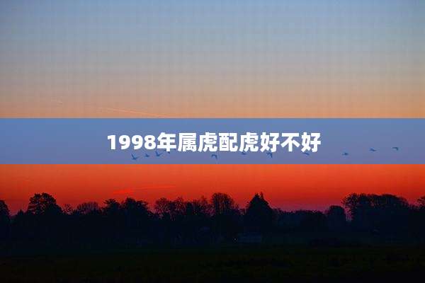 1998年属虎配虎好不好