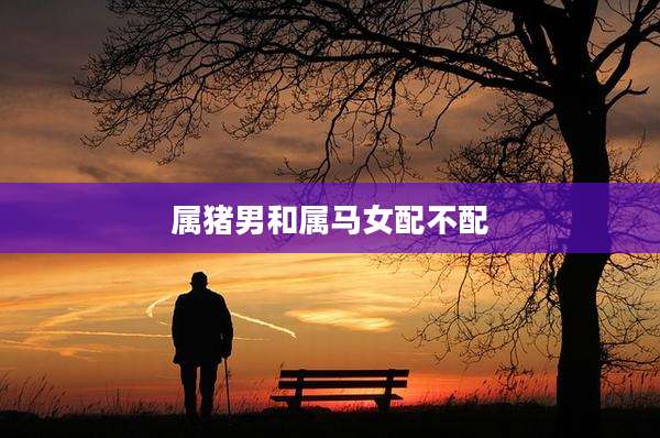 属猪男和属马女配不配