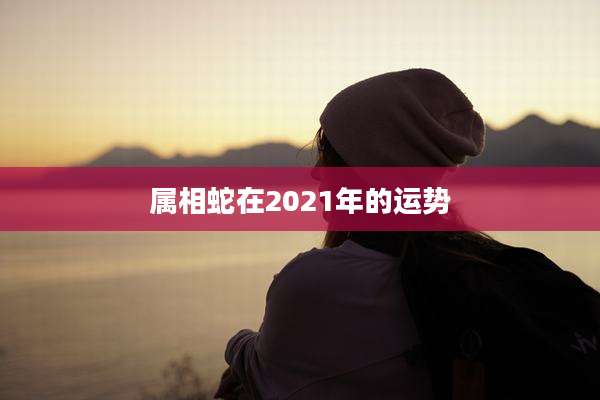 属相蛇在2021年的运势