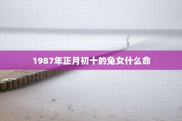 1987年正月初十的兔女什么命