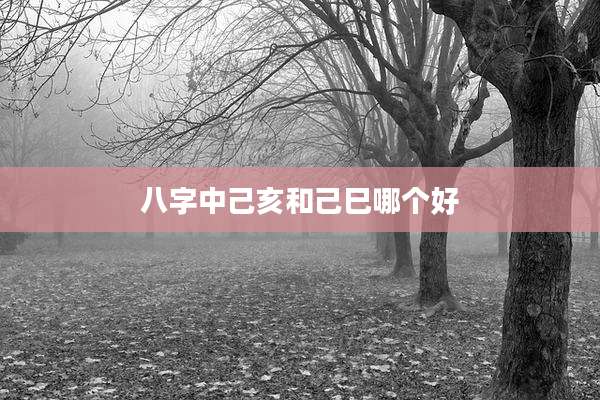 八字中己亥和己巳哪个好