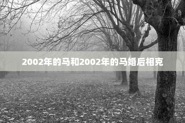 2002年的马和2002年的马婚后相克