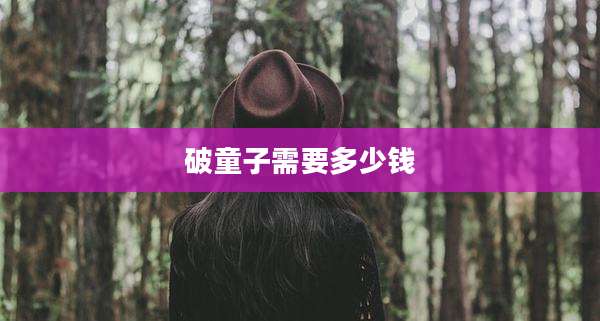 破童子需要多少钱