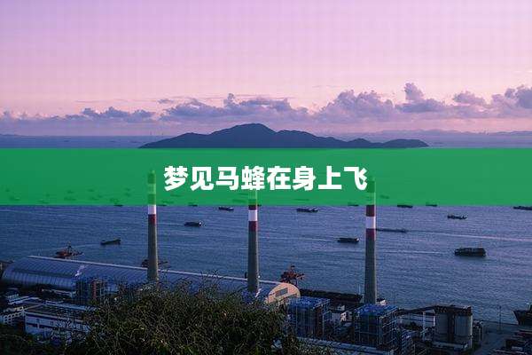 梦见马蜂在身上飞