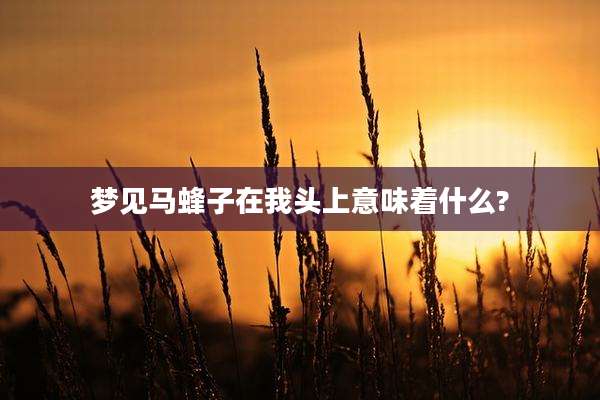 梦见马蜂子在我头上意味着什么?