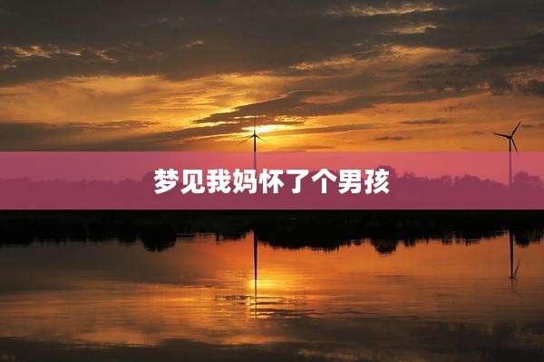 梦见我妈怀了个男孩