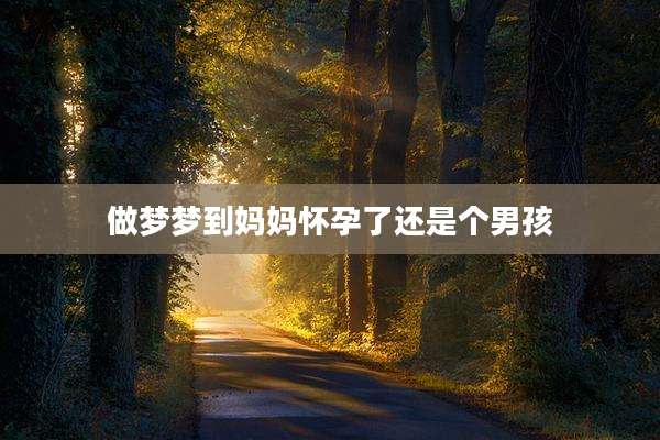 做梦梦到妈妈怀孕了还是个男孩