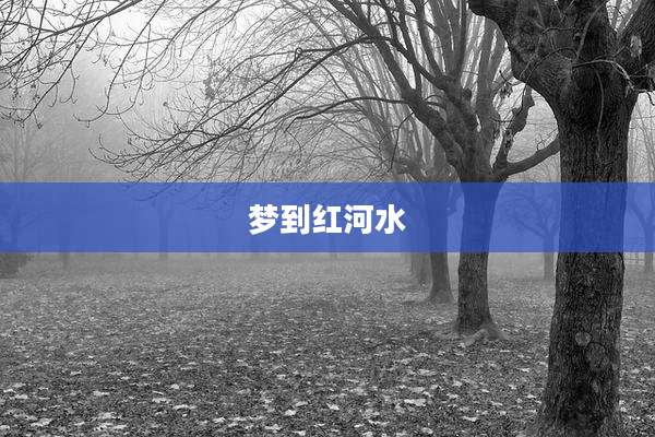 梦到红河水