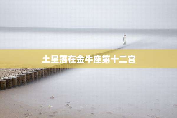 土星落在金牛座第十二宫
