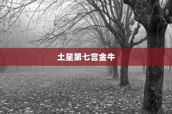 土星第七宫金牛