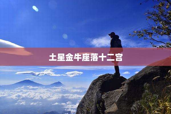 土星金牛座落十二宫