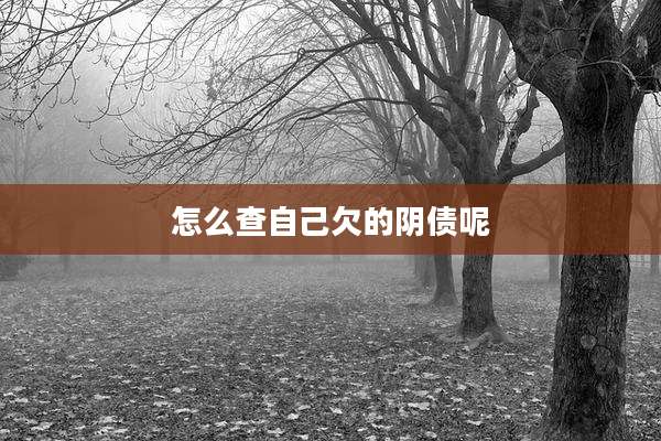 怎么查自己欠的阴债呢