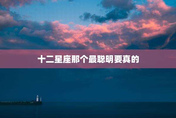 十二星座那个最聪明要真的
