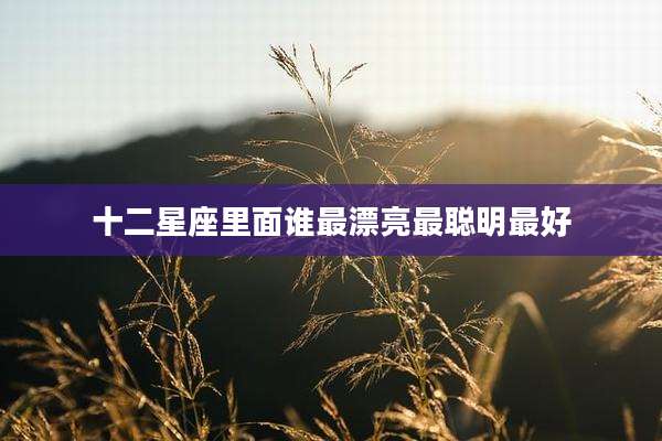 十二星座里面谁最漂亮最聪明最好