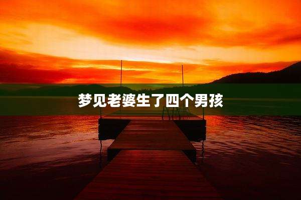 梦见老婆生了四个男孩