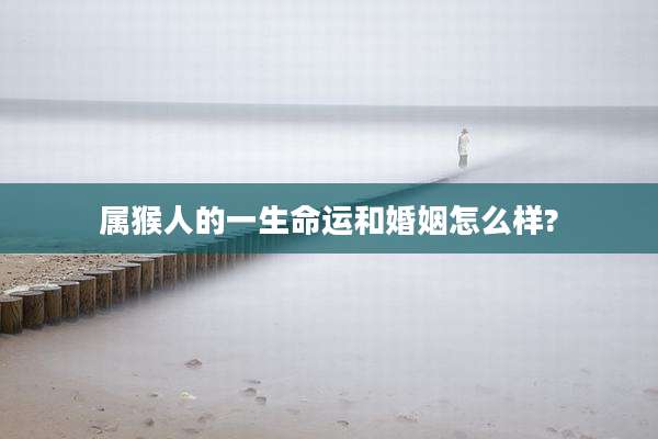 属猴人的一生命运和婚姻怎么样?