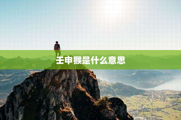 壬申猴是什么意思