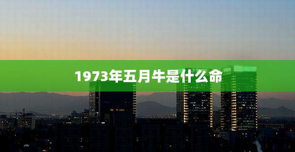 1973年五月牛是什么命