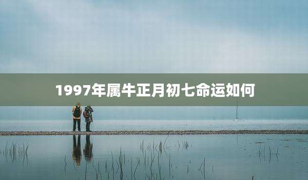 1997年属牛正月初七命运如何
