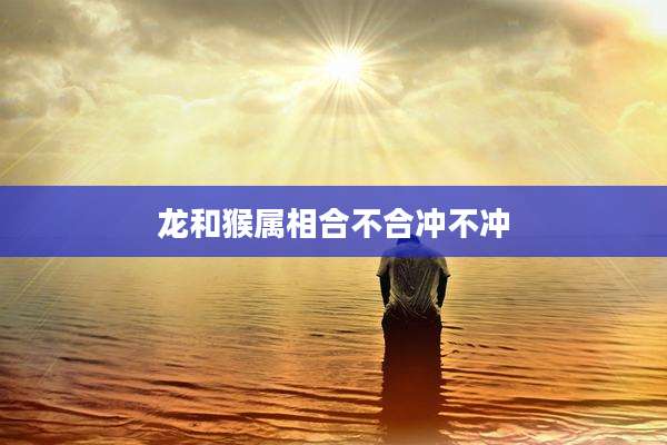 龙和猴属相合不合冲不冲