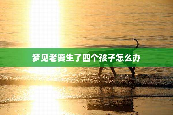 梦见老婆生了四个孩子怎么办