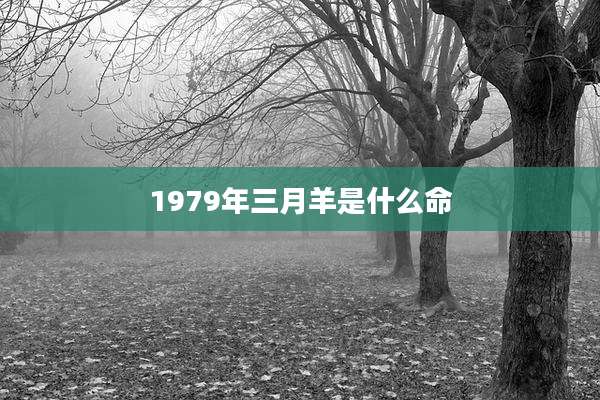 1979年三月羊是什么命