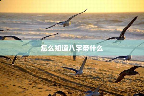 怎么知道八字带什么