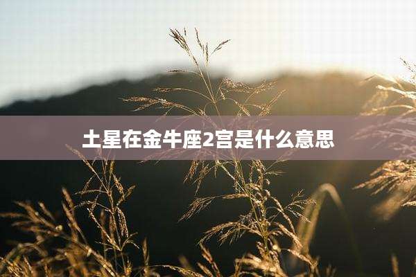 土星在金牛座2宫是什么意思