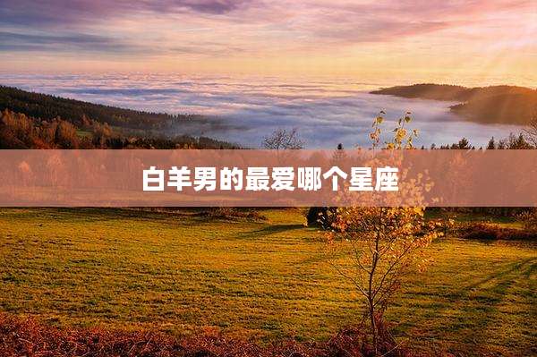 白羊男的最爱哪个星座