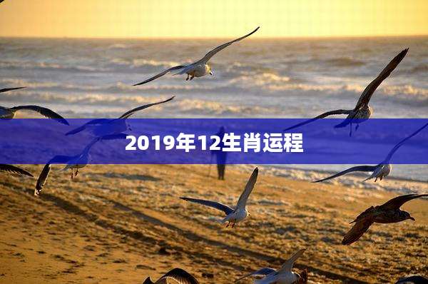 2019年12生肖运程