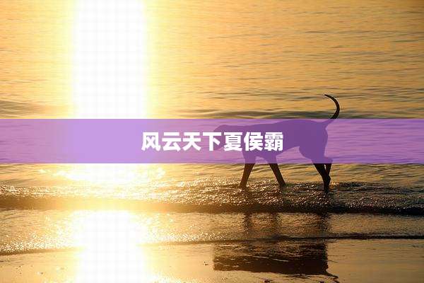 风云天下夏侯霸