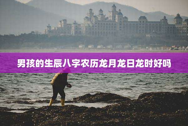 男孩的生辰八字农历龙月龙日龙时好吗