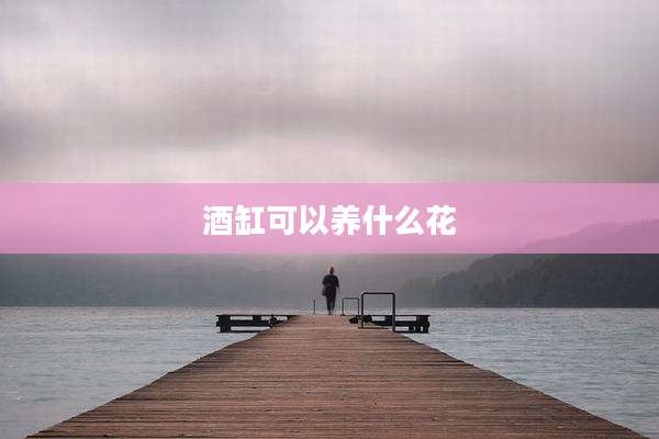 酒缸可以养什么花