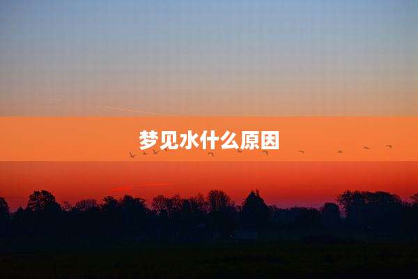 梦见水什么原因