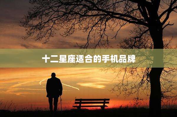 十二星座适合的手机品牌