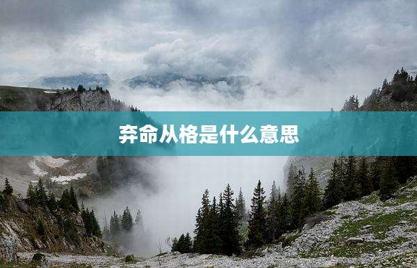 弃命从格是什么意思